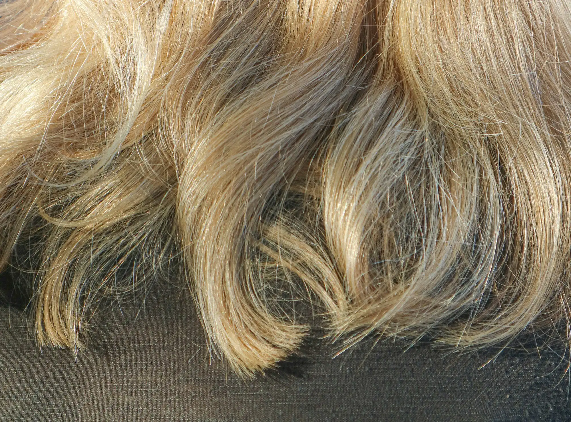 How Long Does Toner Last on Blonde Hair?